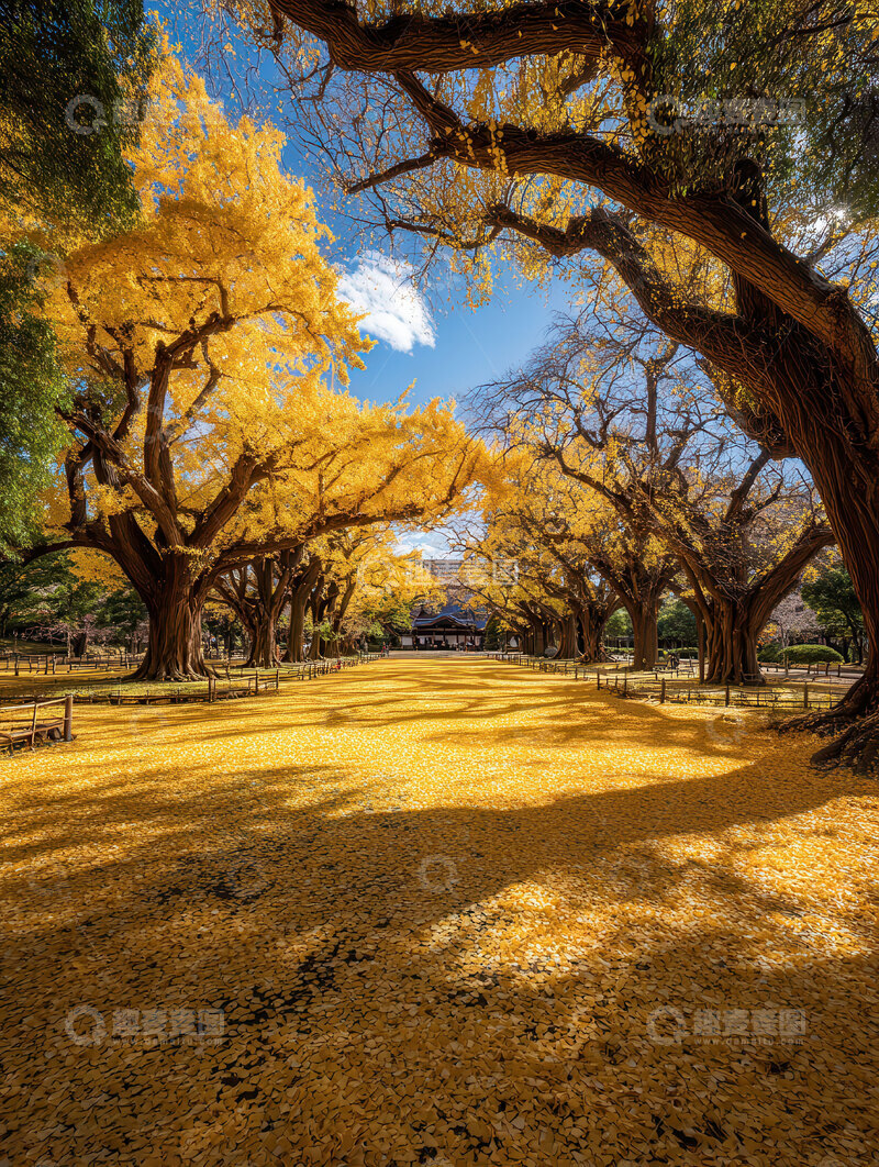 银杏叶  鎏金  零落