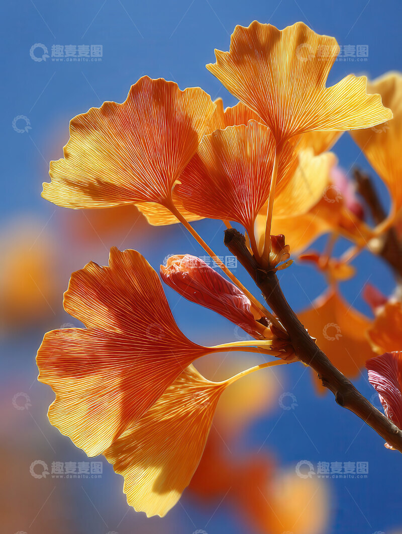 银杏叶  鎏金  永恒  