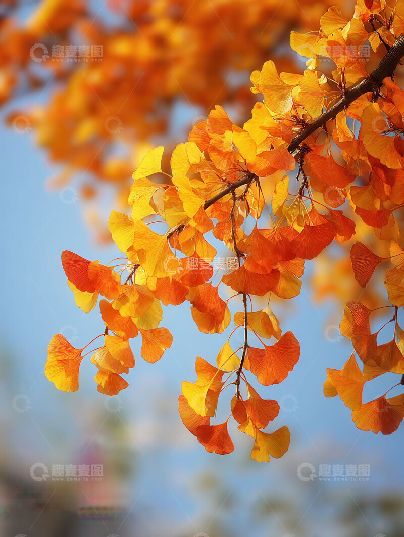 银杏叶  鎏金  光滑