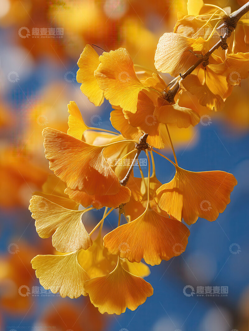 银杏叶  鎏金  柔韧