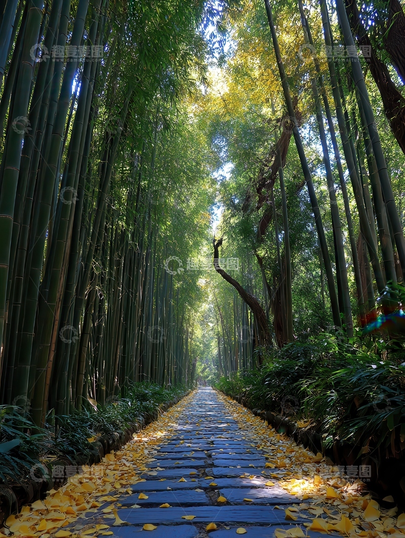 高清大图下载【趣麦麦图】林间  翠影   亭亭