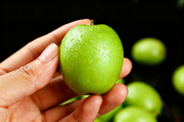 青枣翡翠小青枣1