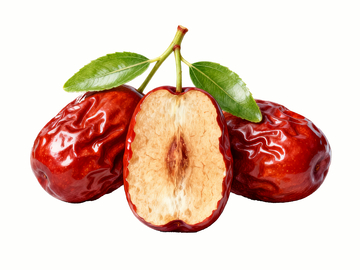 写实手绘风格红枣4