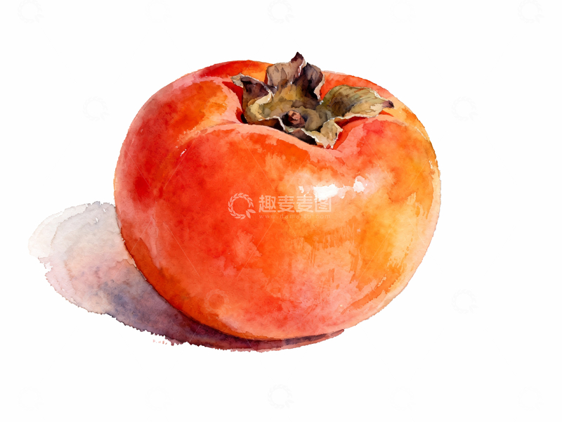 源文件下载【趣麦麦图】水彩风格柿子3