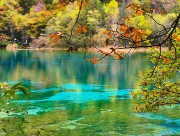 秋水碧波森林湖泊风光