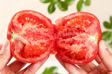 新鲜饱满的红番茄特写3