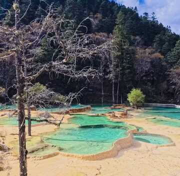黄龙钙华池风光