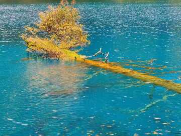 湖中小岛秋景摄影