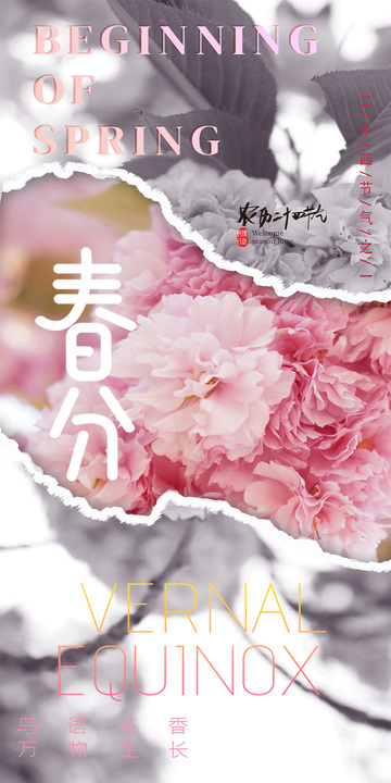 春分花卉唯美设计素材