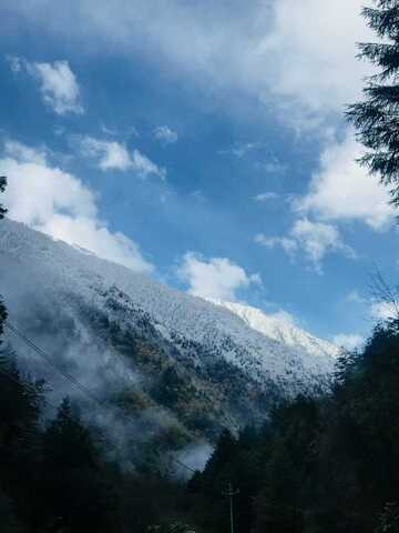 雪山松林蓝天美景