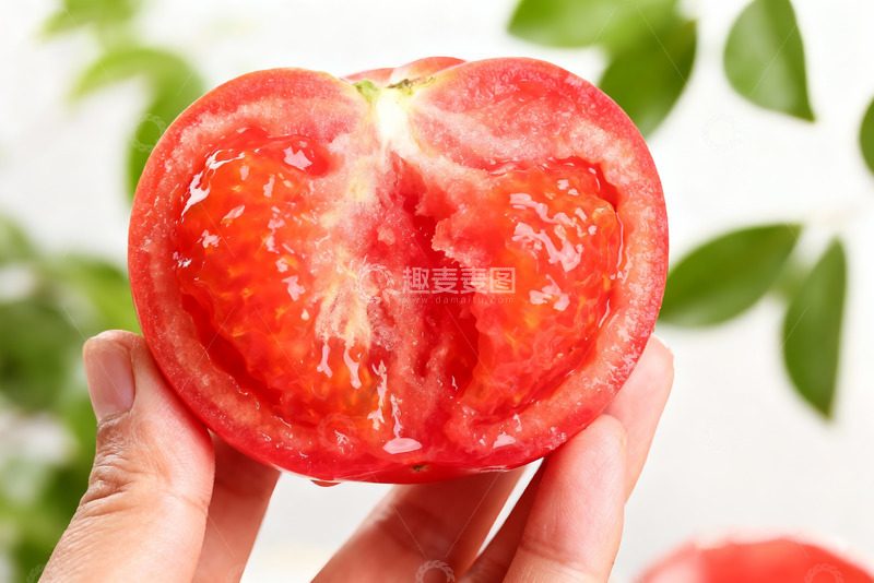 高清大图下载【趣麦麦图】普罗旺斯西红柿11