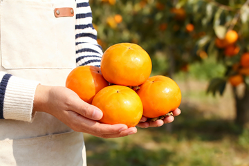 基地手捧脆柿子3