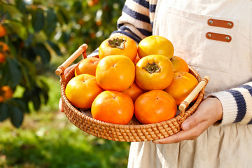 基地手捧脆柿子5