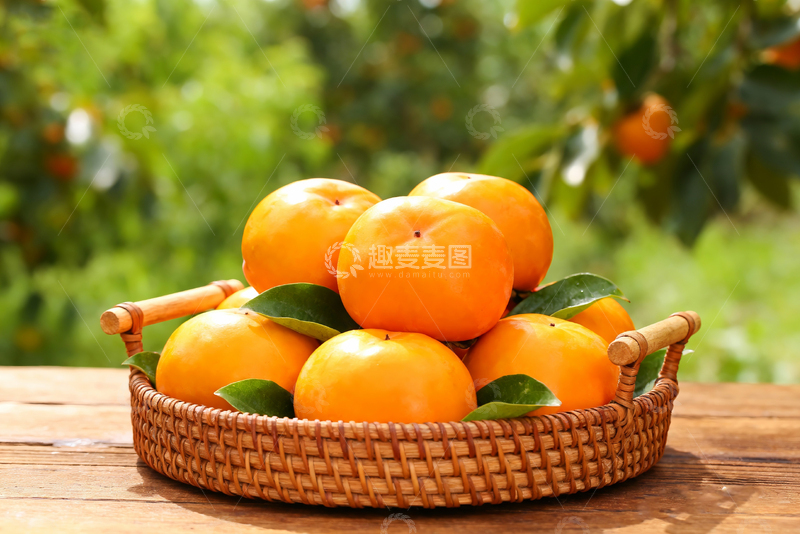 高清大图下载【趣麦麦图】-农场新鲜脆柿子9