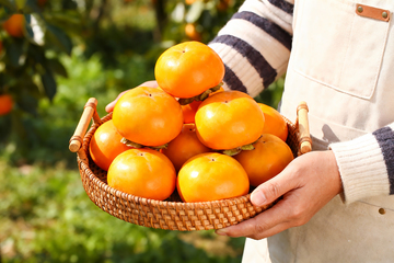 农场手捧脆柿子6