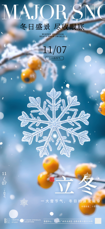 雪花立冬节日宣传海报设计