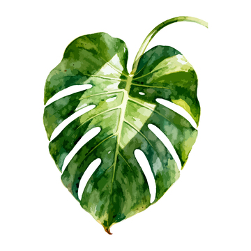 水彩风格绿色龟背叶片图案设计元素