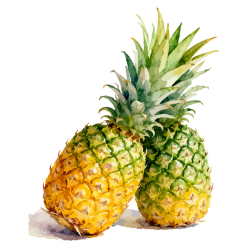 水彩画菠萝水果插画素材