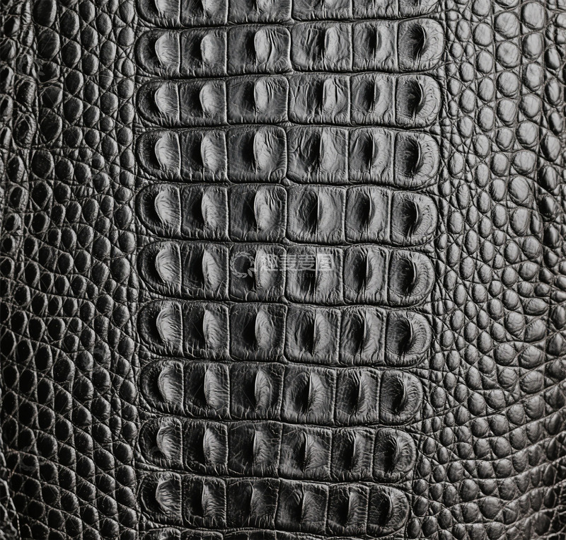高清大图下载【趣麦麦图】黑色鳄鱼皮纹理特写