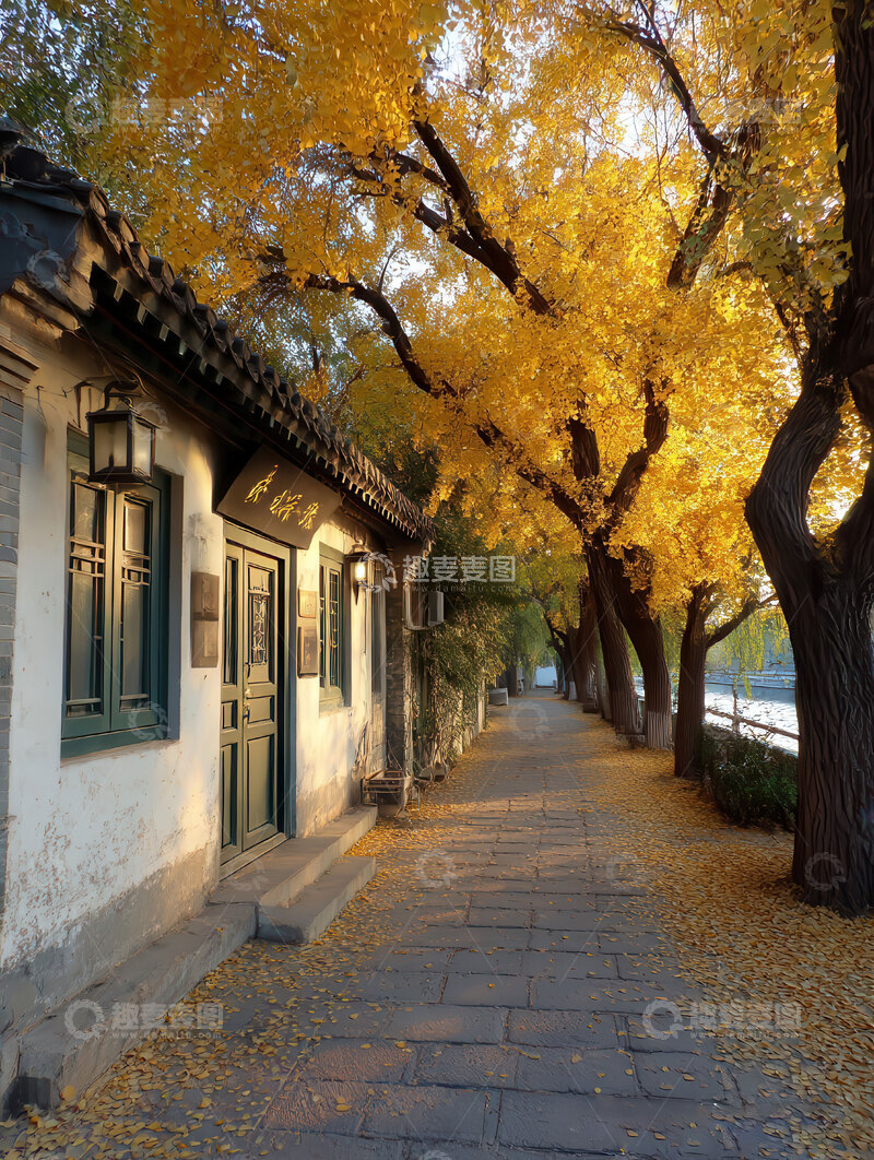 高清大图下载【趣麦麦图】-秋  清冽  赭黄 