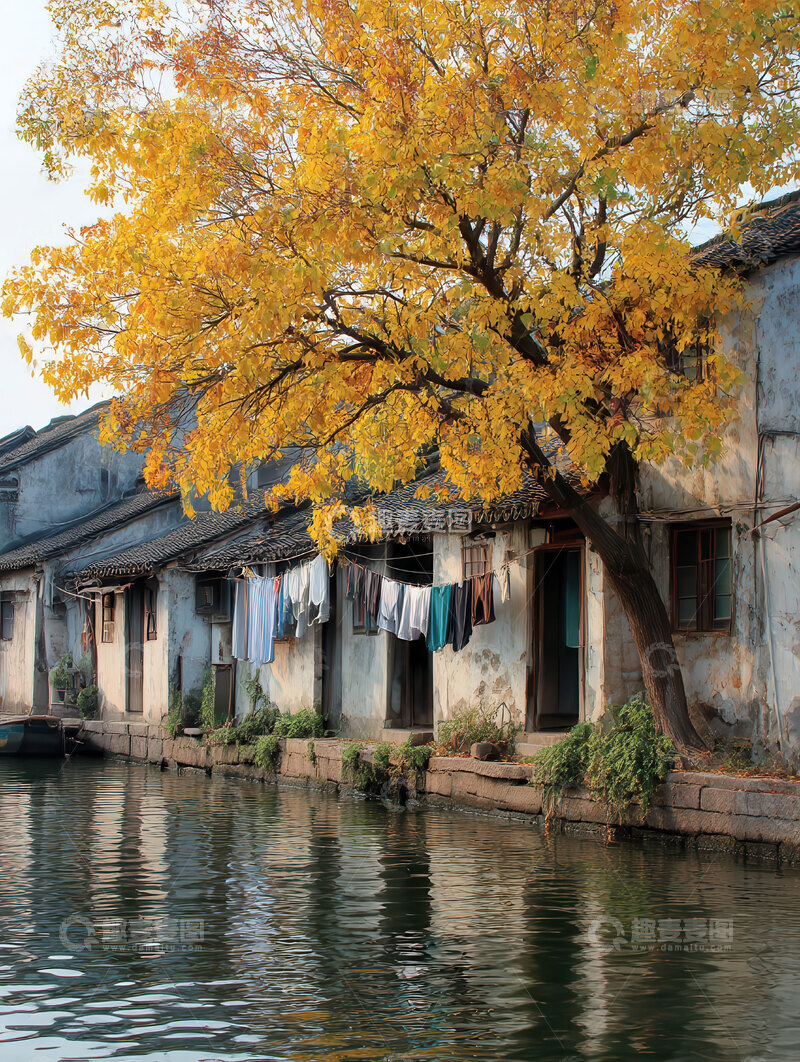 高清大图下载【趣麦麦图】秋  寂寥  萧瑟 