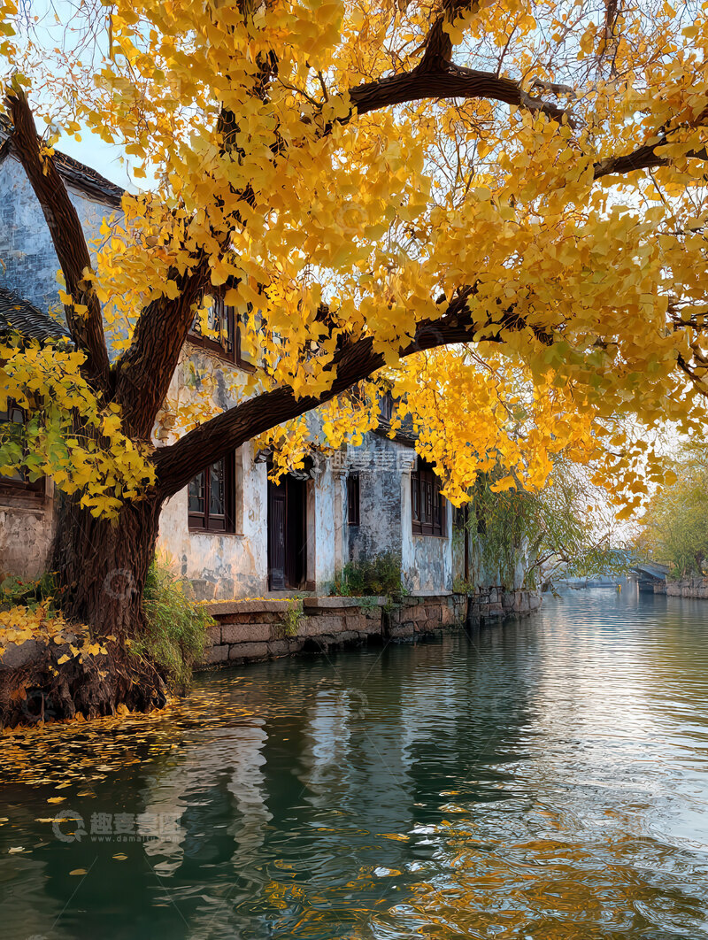 高清大图下载【趣麦麦图】-秋  旷远  萧瑟 