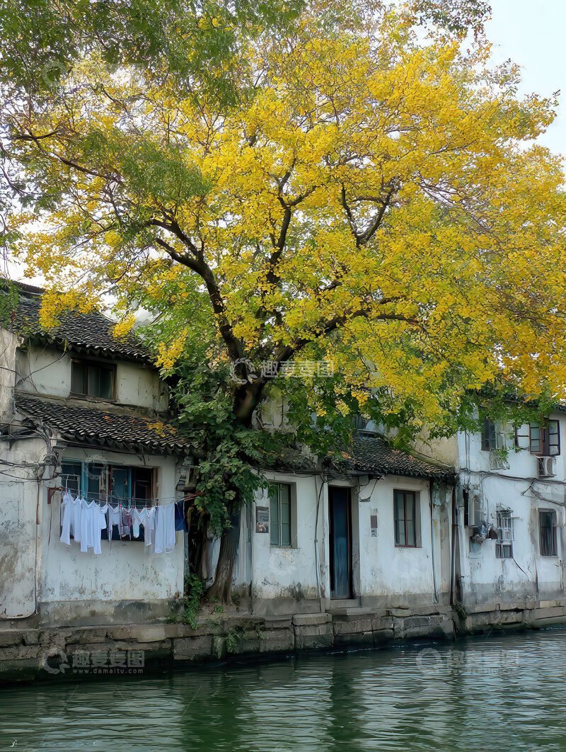 高清大图下载【趣麦麦图】秋  疏朗  萧瑟 