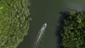 航拍河流森林船只