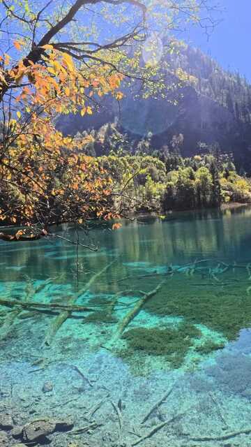 秋水映山林清澈碧绿