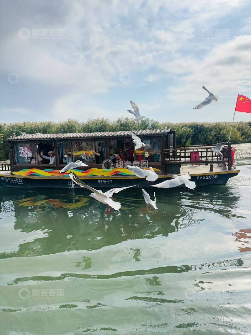 高清大图下载【趣麦麦图】游船海鸥蓝天风光