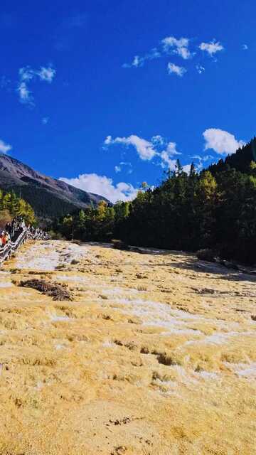 高原风光蓝天白云森林景观