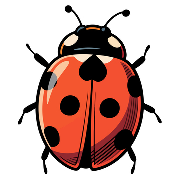 卡通七星瓢虫矢量插画