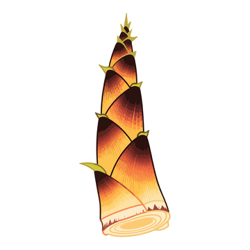 手绘竹笋插画风格元素