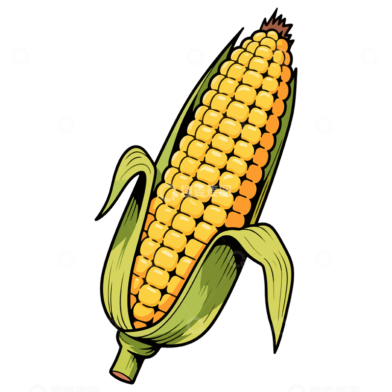 源文件下载【趣麦麦图】手绘风格玉米插画素材