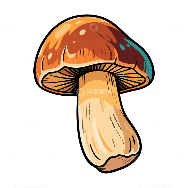 手绘风野生蘑菇插画设计元素