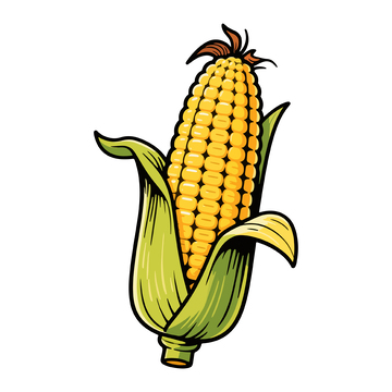 手绘玉米插画设计元素