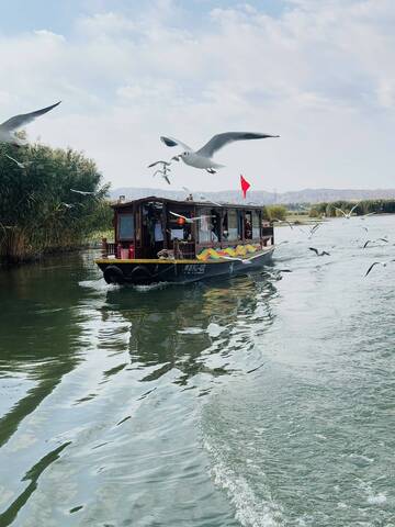 湖上游船海鸥飞舞