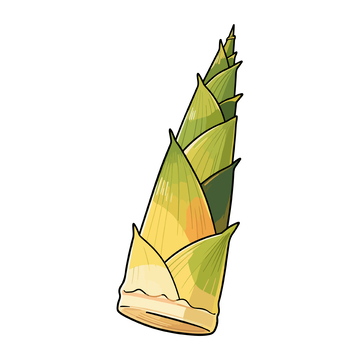 卡通风格竹笋插画设计素材