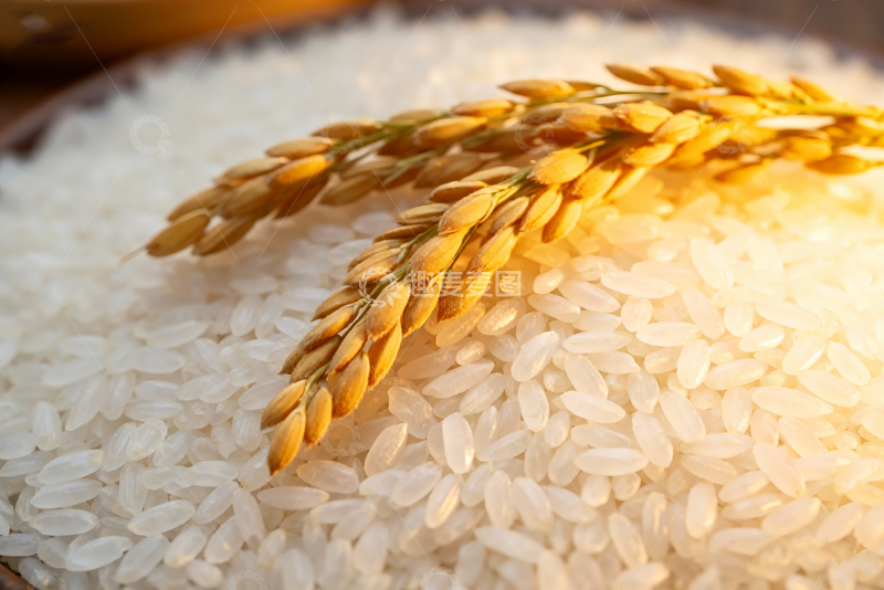 高清大图下载【趣麦麦图】农产品新鲜大米82