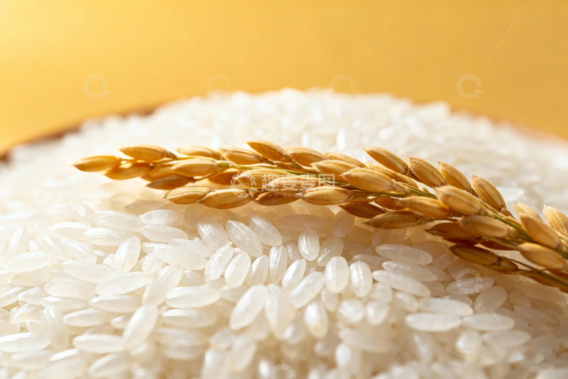 高清大图下载【趣麦麦图】农产品新鲜大米1