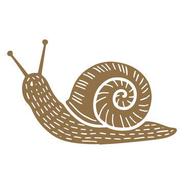 卡通蜗牛简笔画图案