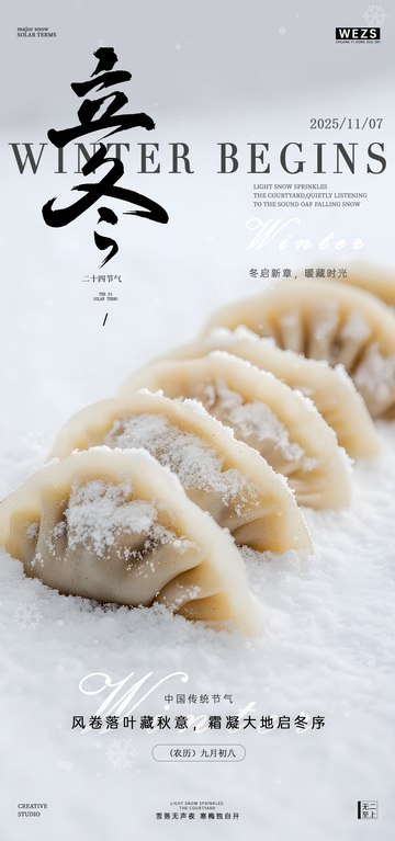 冬始饺子节庆海报