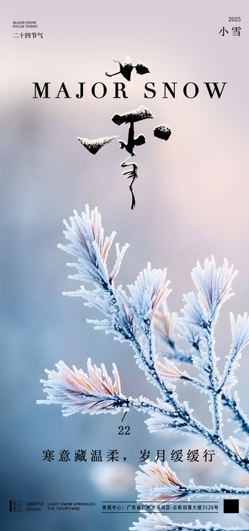 小雪节气霜花意境海报设计