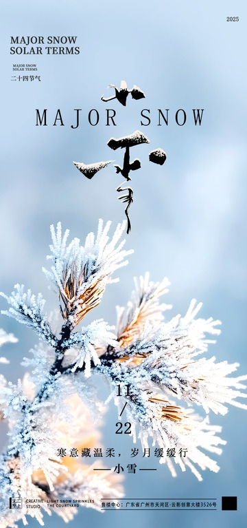 大雪节气雪景摄影海报设计