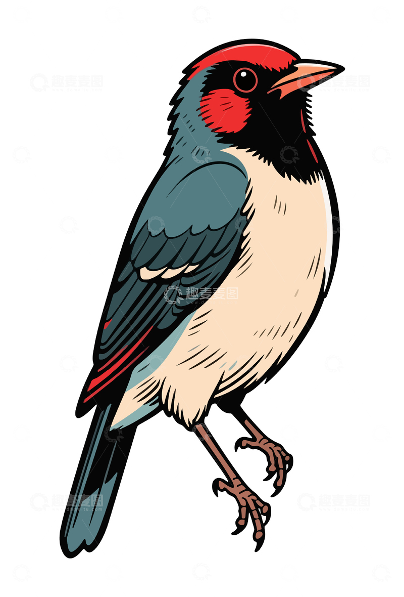 源文件下载【趣麦麦图】卡通风格红头鸟插画