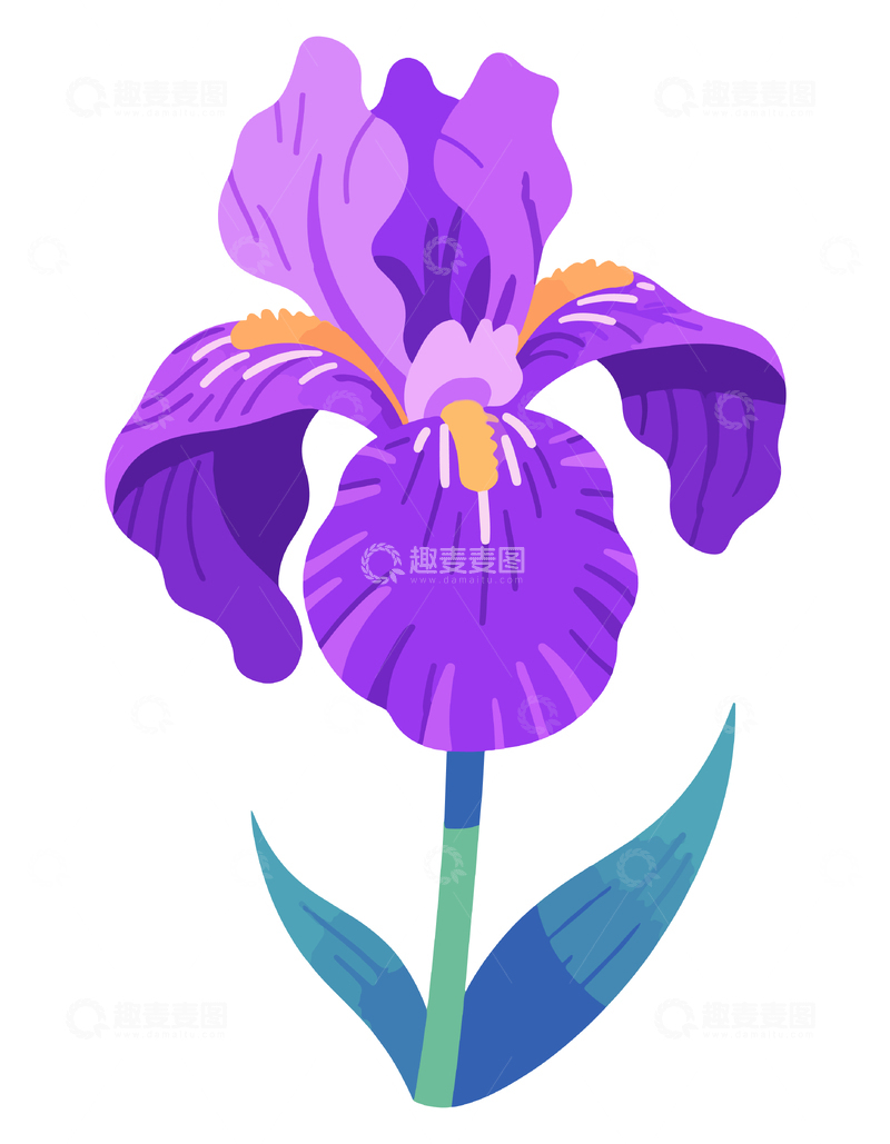 紫色鸢尾花矢量插画