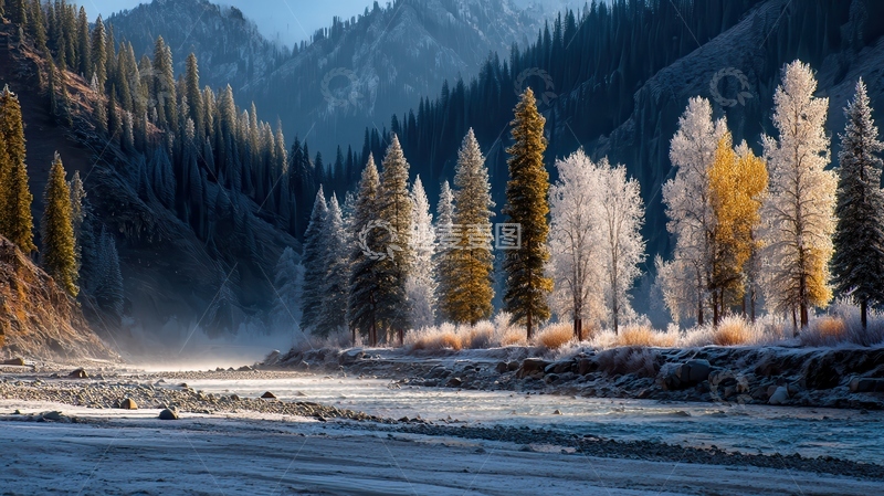 高清大图下载【趣麦麦图】雾凇  鎏金  剔透  