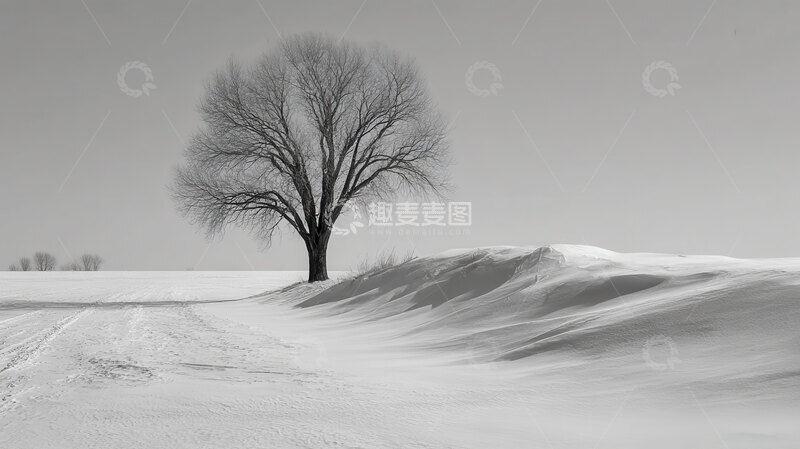 高清大图下载【趣麦麦图】雪原  孤影  寂寥  