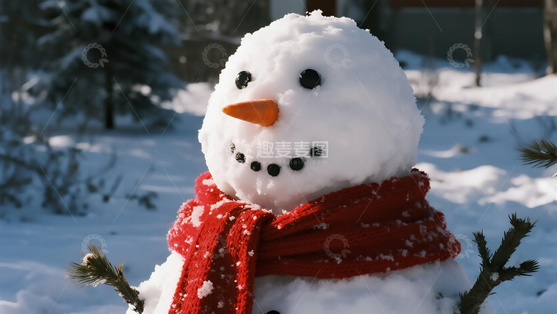 高清大图下载【趣麦麦图】节气系列之雪人特写
