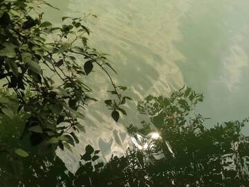 山水光影树枝风景摄影